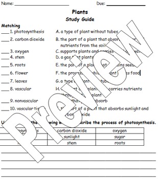 Preview of Plants Assessment Bundle
