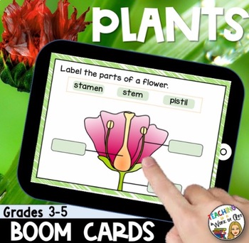 Preview of Plants BOOM CARDS- DISTANCE LEARNING