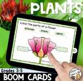 Plants BOOM CARDS- DISTANCE LEARNING