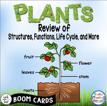 Preview of Plants BOOM Cards-A Review of Structures-Features-Life Cycles