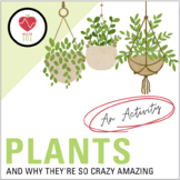 Plants: Benefits of Plants | Plants Improve Health- Middle