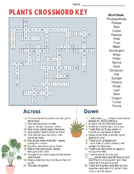 Plants Biology Crossword Puzzle with Answer Key by Stokes Scholars