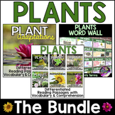 Plants Bundle, Differentiated Plants Reading Passages & Word Wall