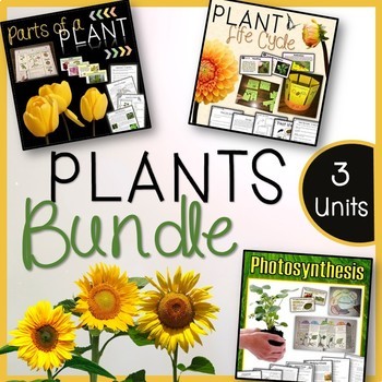 Preview of Plants Bundle Units – Life Cycle of Plants, Photosynthesis, Parts of a plant