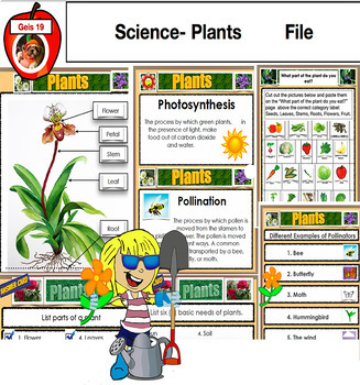 Preview of Plants Bundle - No Prep! -  PDF, PPT, SMARTboard File, Science Education