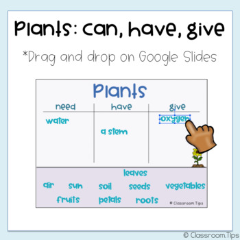 Preview of Plants Can, Have, Give (Plants Distance learning - Google Classroom)