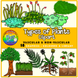 Plants Clipart: Vascular and Non-Vascular Plants