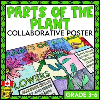 Plants Collaborative Poster | Parts of the Plant by Brain Ninjas
