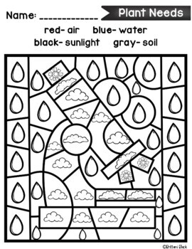 Plants Coloring Pages Plants Color By Code
