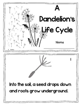 Plants-Dandelion Reading, Math and Writing Activities by Angelica Potter
