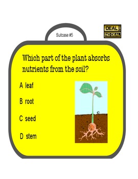 Plants Deal Or No Deal Trivia Game Flipchart By Trendy Teacher Tpt