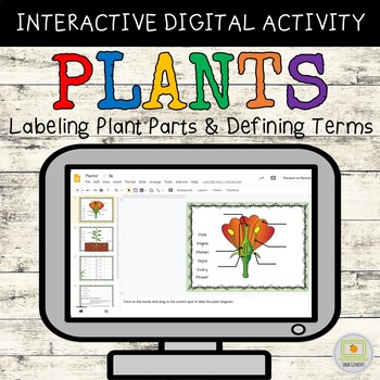 Preview of Plants Digital Slides Activity for Google Classroom