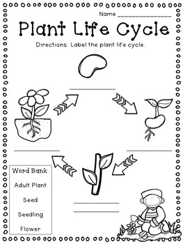 Plants: Flipchart and Worksheets by Flipping For First | TpT
