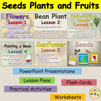 Preview of Plants Flowering Plants Life Cycle Sunflower Bean Plant Worksheets Presentation
