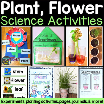 Preview of Plants Flowers Science Experiments Parts of Flower Planting Seeds Activities
