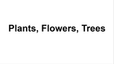 Plants, Flowers, Trees (google slides)