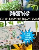 Plants GLAD Pictorial Input Chart