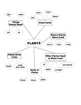 Preview of Plants Graphic Organizer Study Guide