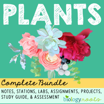 Preview of Plants Bundle