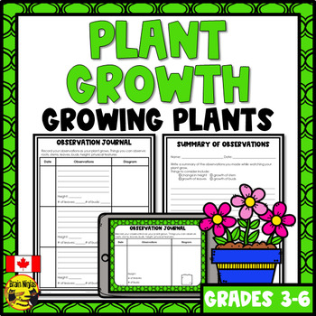 Preview of Plant Growth and Changes | Observation Journal Activity