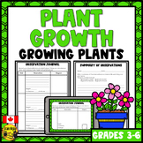 Plant Growth and Changes | Observation Journal Activity