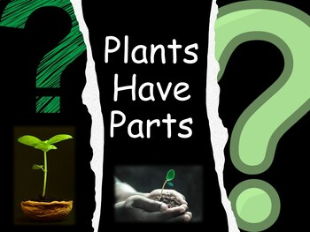 Preview of Plants Have Parts .PDF book with activities (secular)