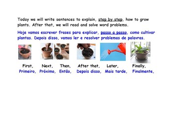 Preview of Plants: How Do They Grow? How Do They Help Us?