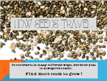 Preview of Plants: How Seeds Travel Activities and PowerPoint