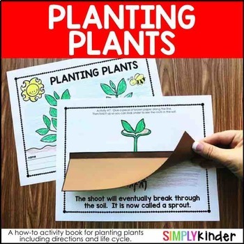 Preview of Planting Plants, Interactive Parts of a Plant, Plant Life Cycle Kindergarten