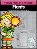 Plants Interactive Notebook (1st Grade)