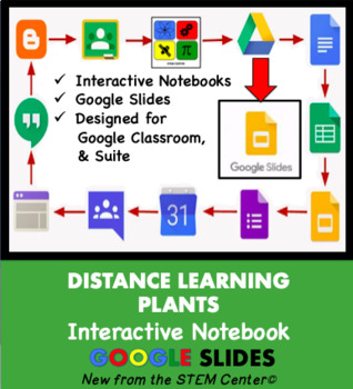 Preview of Plants Interactive Notebook on Google Slides - Distance Learning Friendly