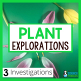 Plants Investigations | Flower Dissection, Seed Dispersal,
