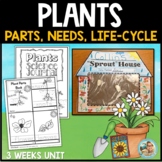 All About Plants | Parts of Plants  | Kindergarten 1st Grade Unit