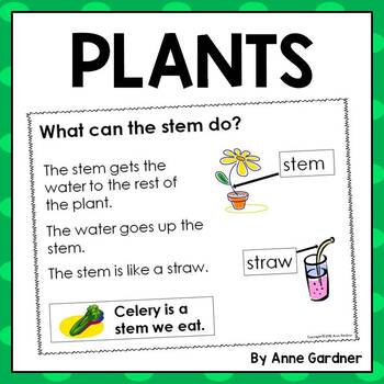 Preview of ⚘ PLANTS Leveled Reading Passages and Reading Response: Kindergarten {DRA 3 - 6}