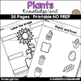 Plants - Kindergarten Knowledge Domain Worksheets & Writin