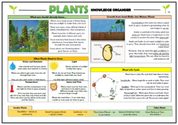 Preview of Plants Knowledge Organizer! (for Grades 1-2)