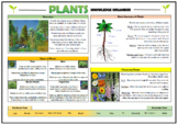 Plants Knowledge Organizer! (for Grades K-1)