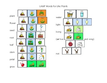 Preview of Plants: LAMP Words for Life vocabulary