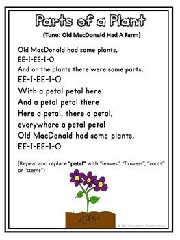 Plants - Label the Plant Parts Freebie Worksheet | TpT