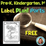 Plants | Label the Parts