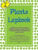 Plants Lapbook