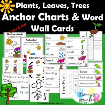 Preview of Plants, Leaves, Trees Anchor Chart & Word Wall {parts of a plant, leaf, tree}