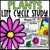 Plants Life Cycle | Centers, Activities and Worksheets | S