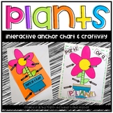 Plants Life Cycle | Science Crafts | Writing Printables