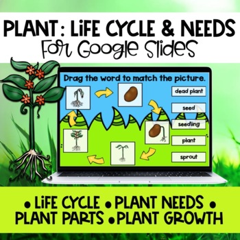 Preview of Plants Life Cycles and Needs for the Google Classroom