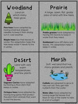 plants life science activities worksheets printables first