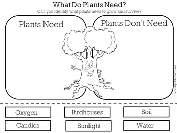Plants Needs Worksheet Activity By Green Apple Lessons Tpt
