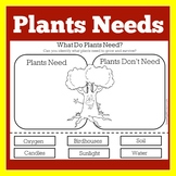 Basic Needs of Plants Worksheet Activity Plant Kindergarte