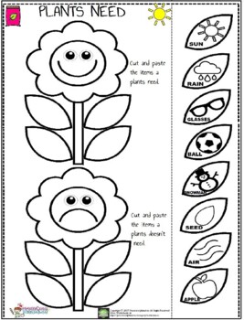 Preview of Plants Needs Worksheet