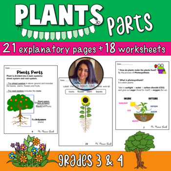 Preview of Plants Parts: Stems, Roots, Leaves, Flowers, Fruits & Seeds - Ms Marwa Tarek